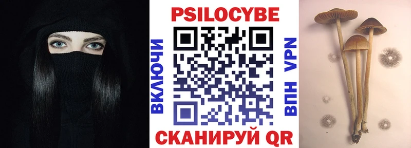 Купить где  Абинск  Галлюциногенные грибы Psilocybine cubensis 